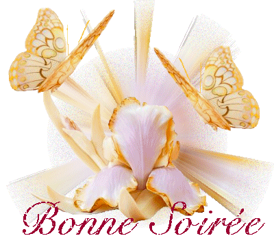 bonne soiree